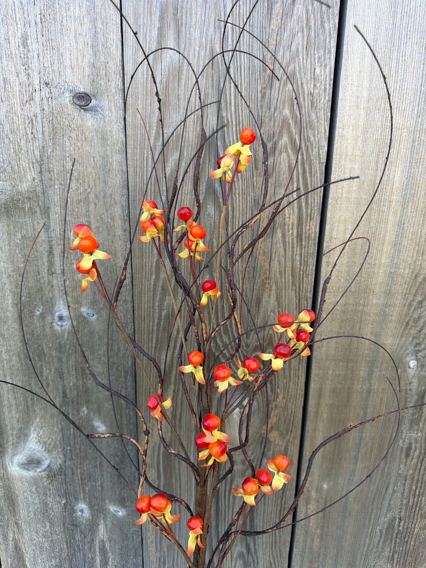 Wild Vine Bittersweet Spray           YL2013
