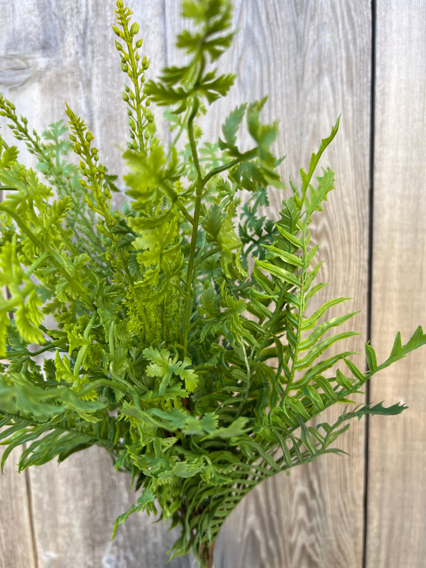 MIXED SOFT TOUCH FERN   85536-UV