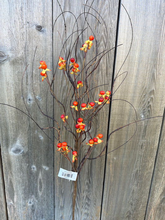Wild Vine Bittersweet Spray           YL2013