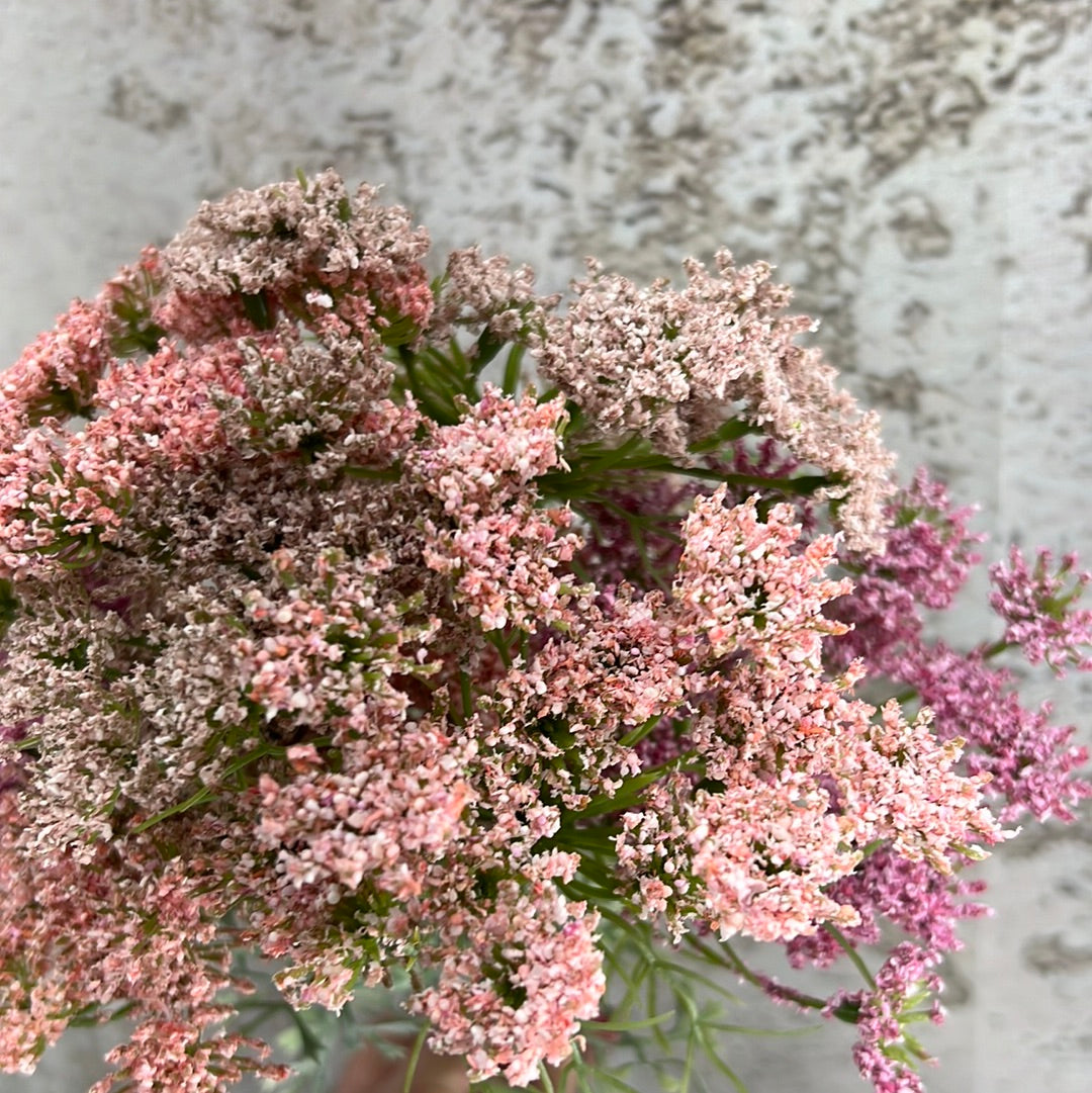 Queen Anne's Lace Bundle  6198P