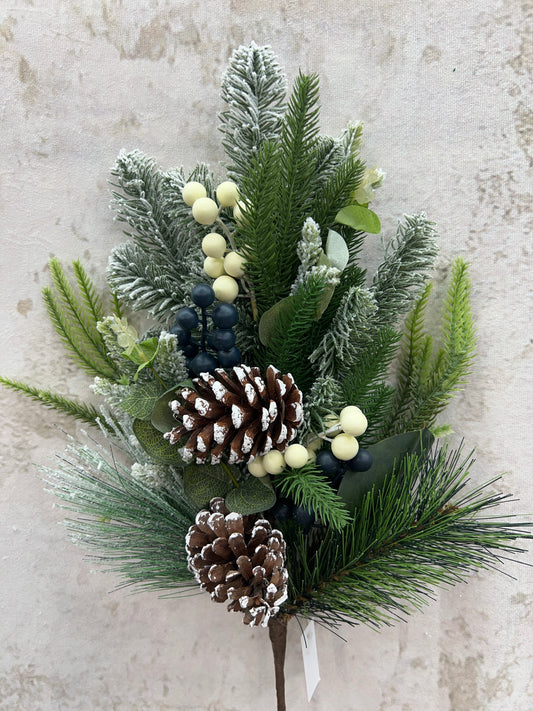 MIXED PINE PINECONE  84732