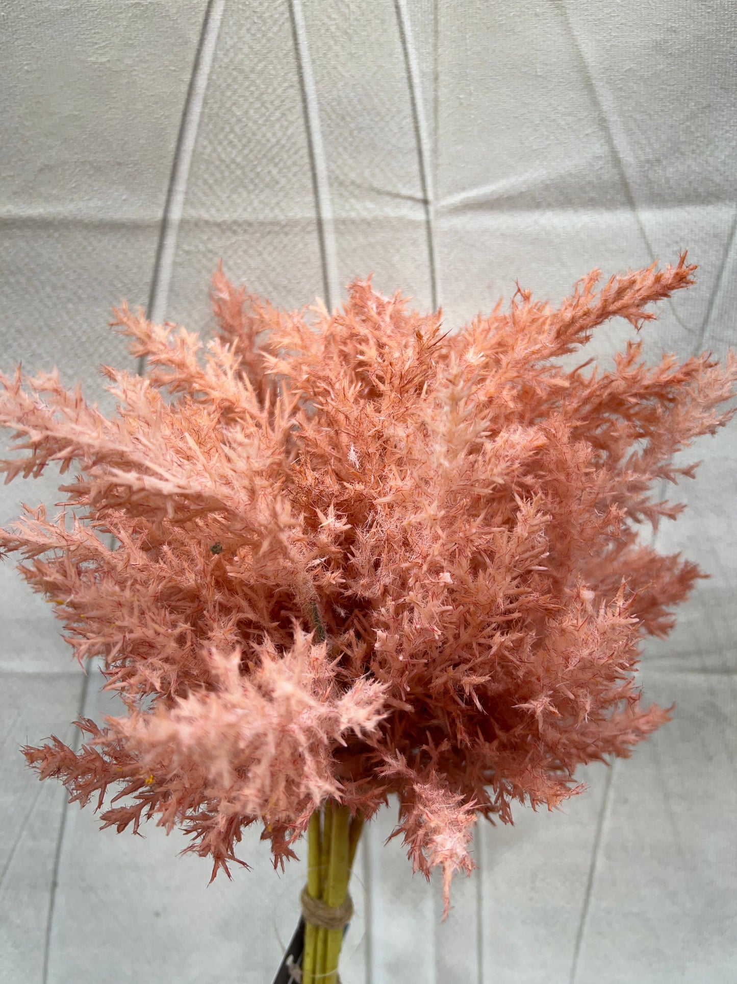 DRIED BUSH   02873 Dusty Pink