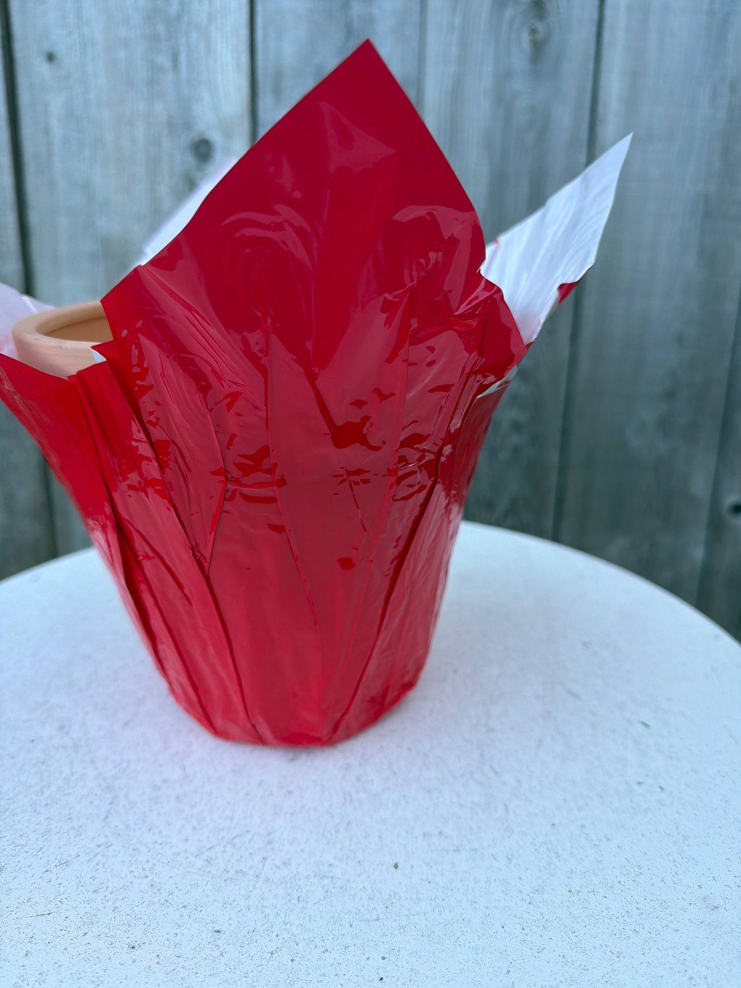 6” Speed Covers