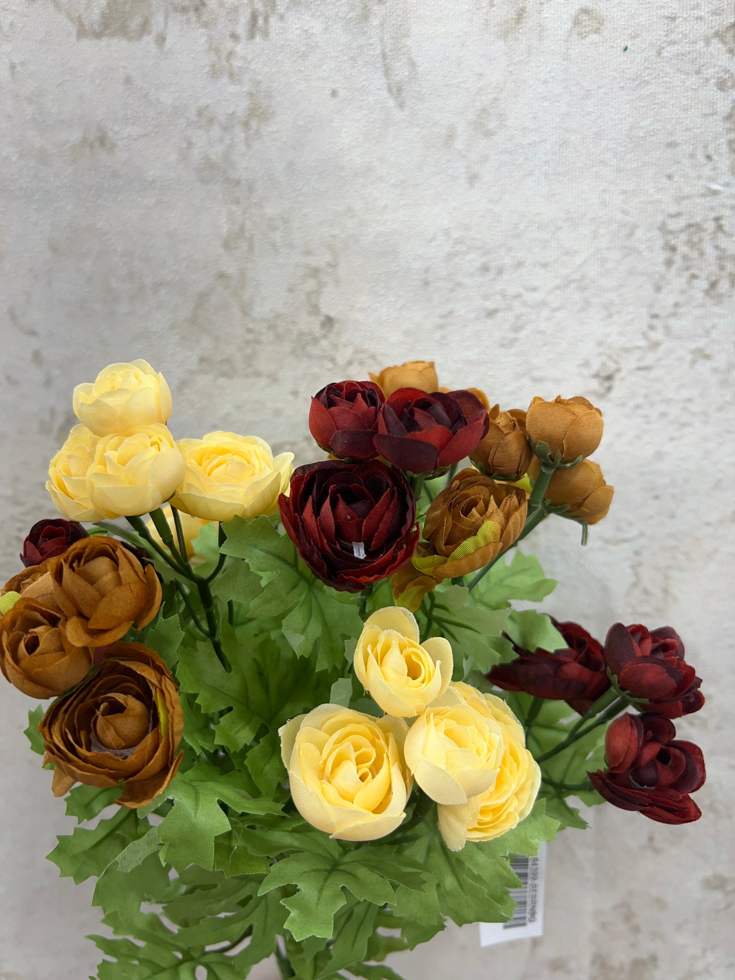 RANUNCULUS BUSH  84399-BEBRNBG