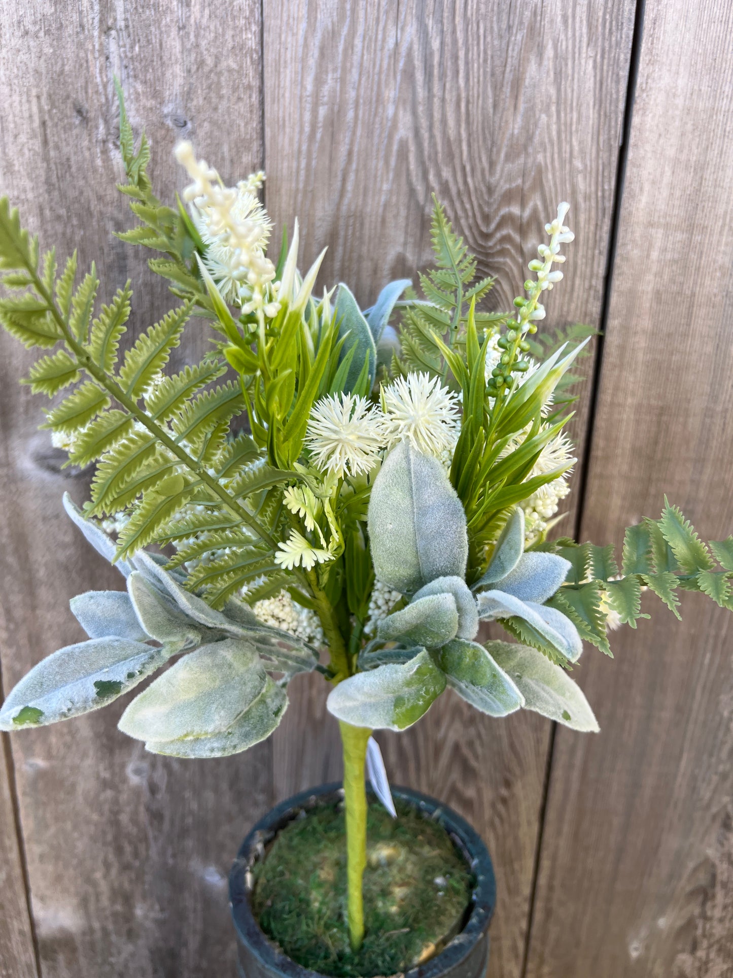 MIXED GLOBE THISTLE   65640-WT