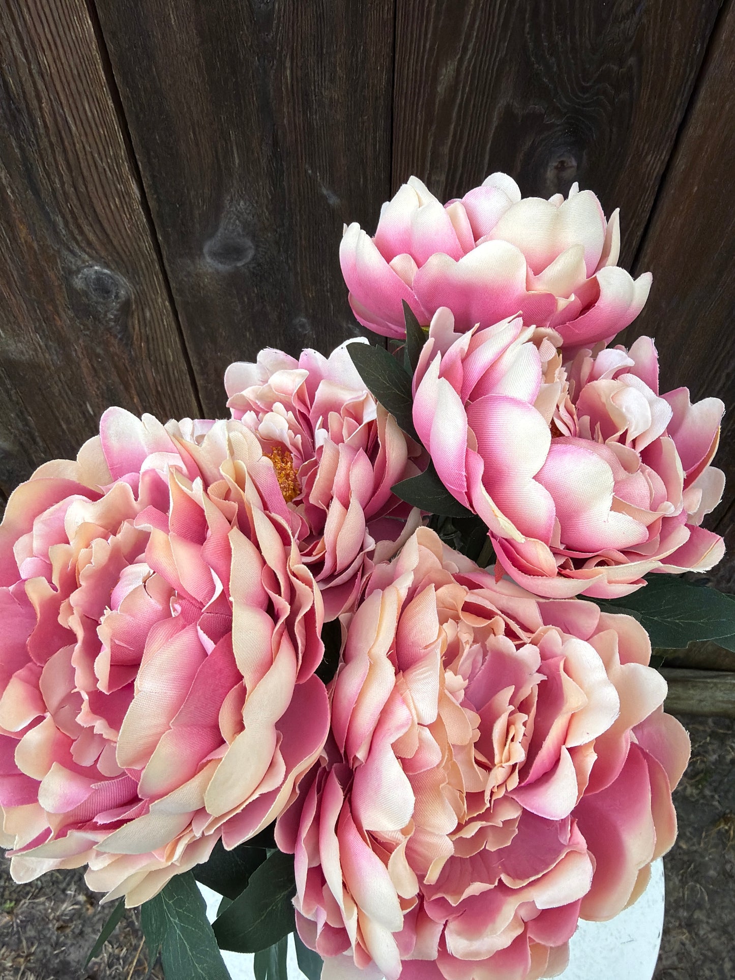 PEONY BUSH    85212-MV