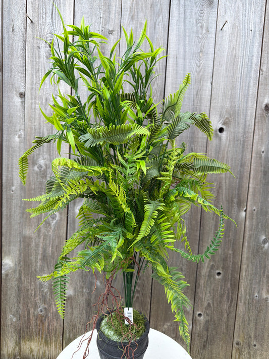 PLS MIX GRASS  57851