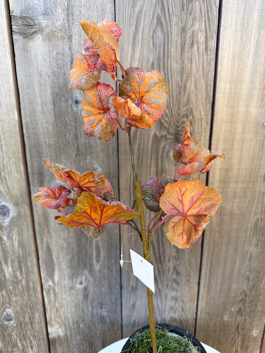 Spray Flocked Orange Geranium Leaves   530686