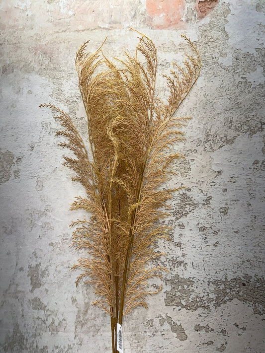 PHOENIX TAIL FERN  84846-LT.BRN