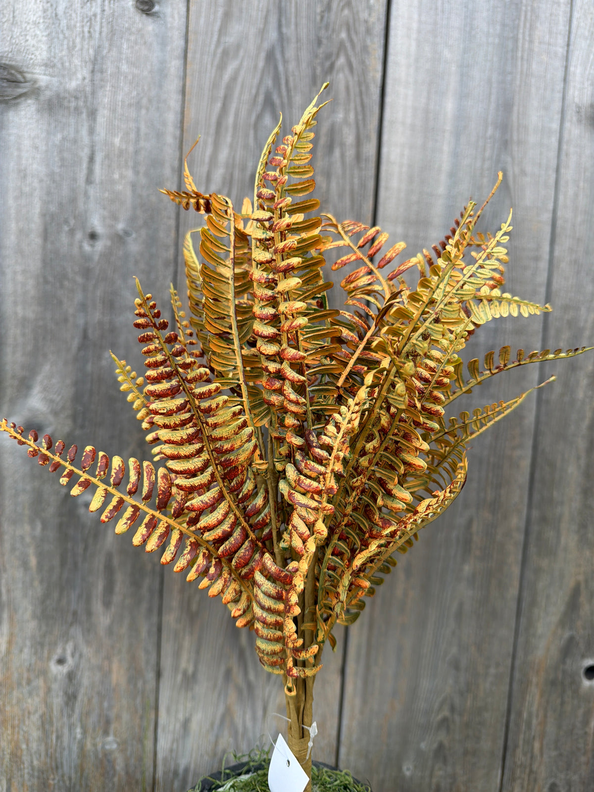 PLASTIC FERN BUSH     65681-YEL