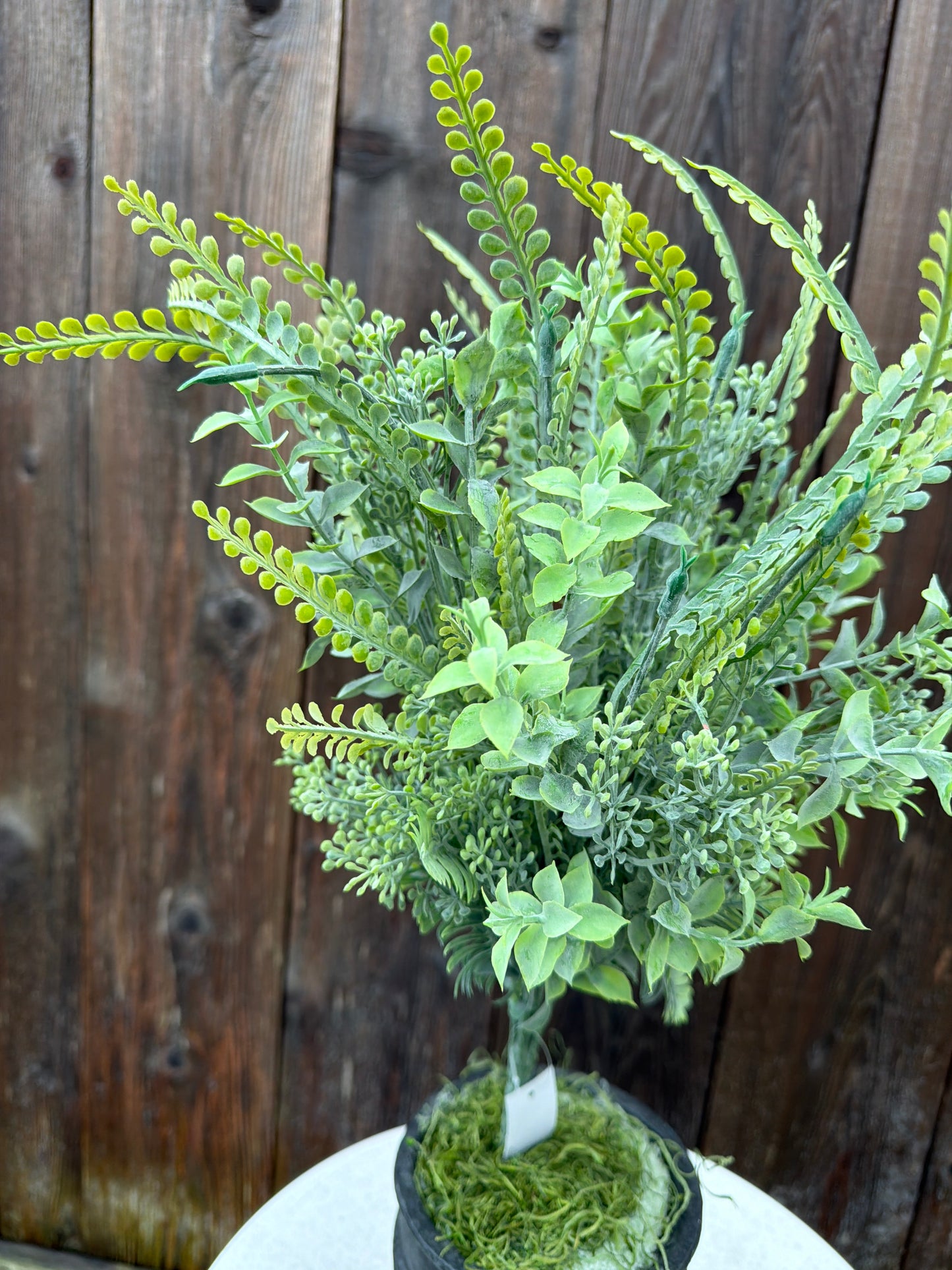 MIXED GREENERY BUSH    85616