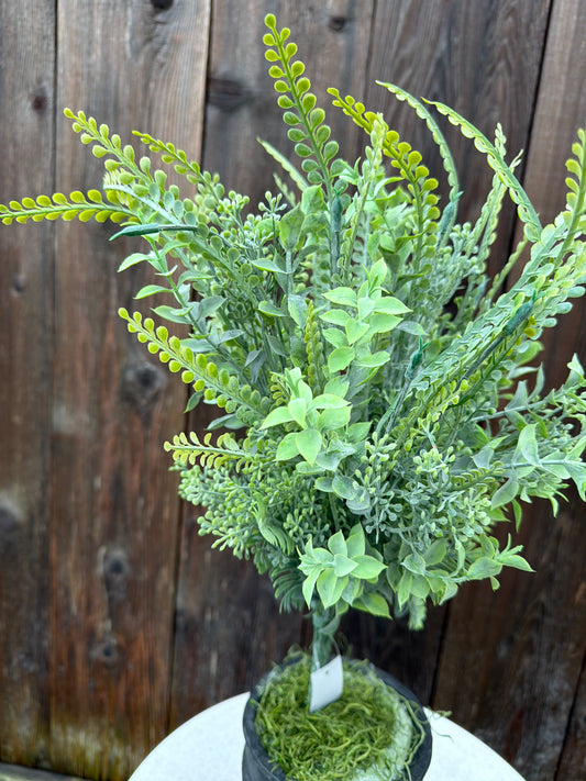 MIXED GREENERY BUSH    85616