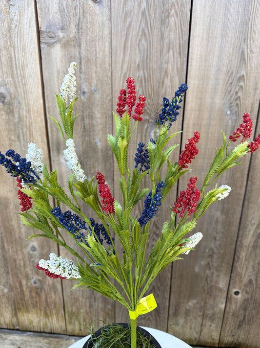 Lavender Bush   74289RWB