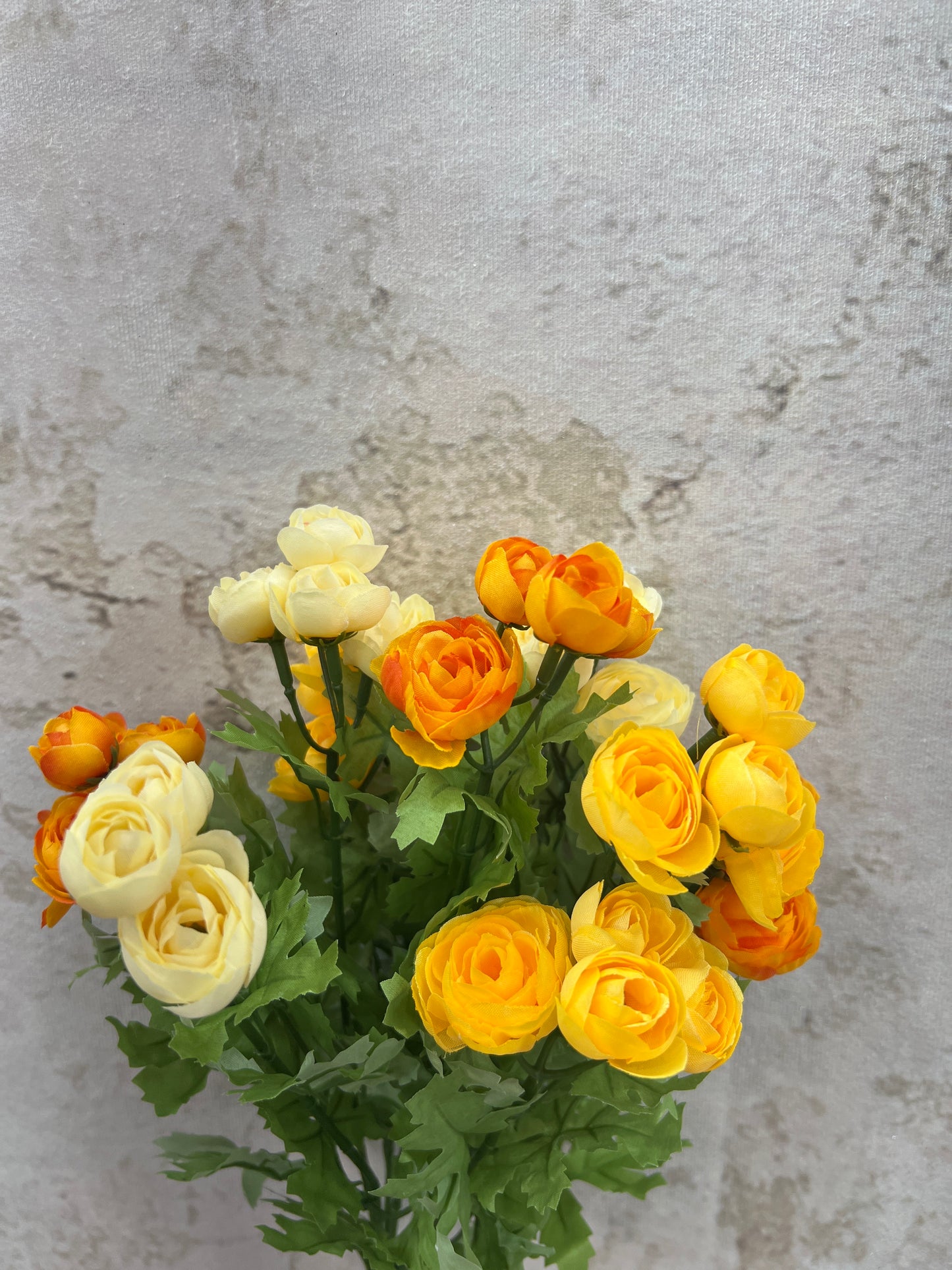 RANUNCULUS BUSH  84399-YELBE