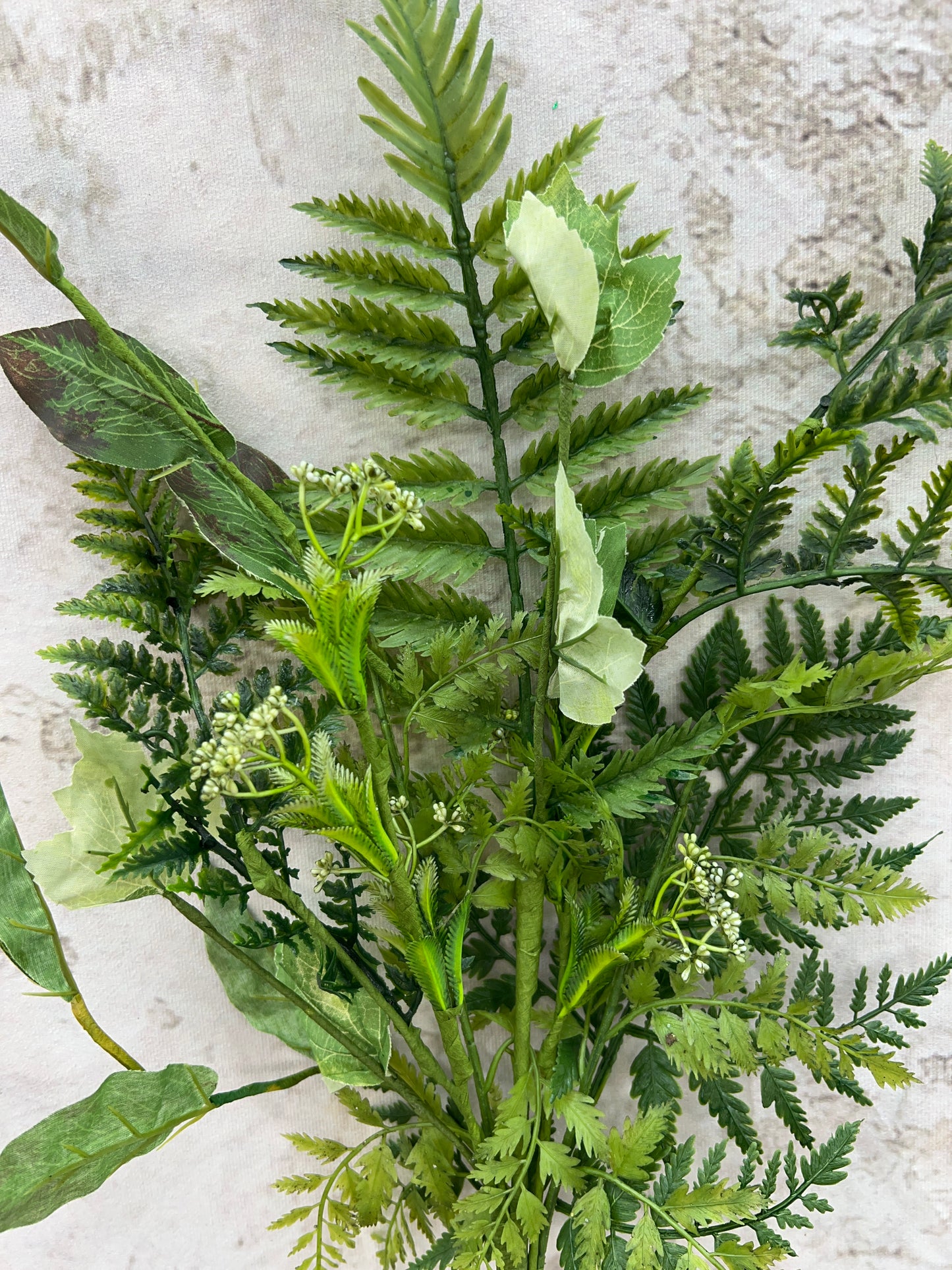 Fern Lvs Spray     63345SP30