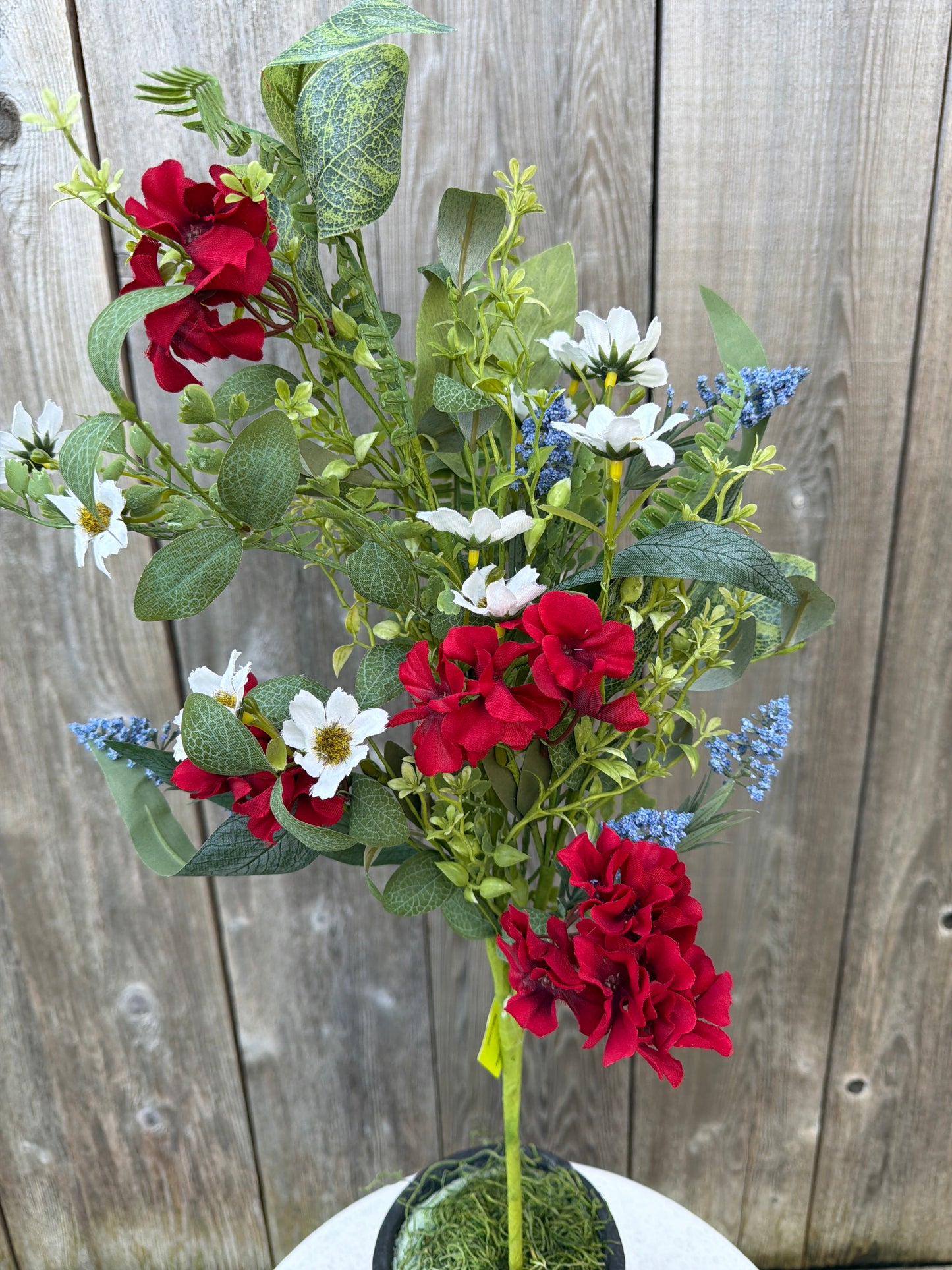 Geranium Lvs Spray   74266RWB