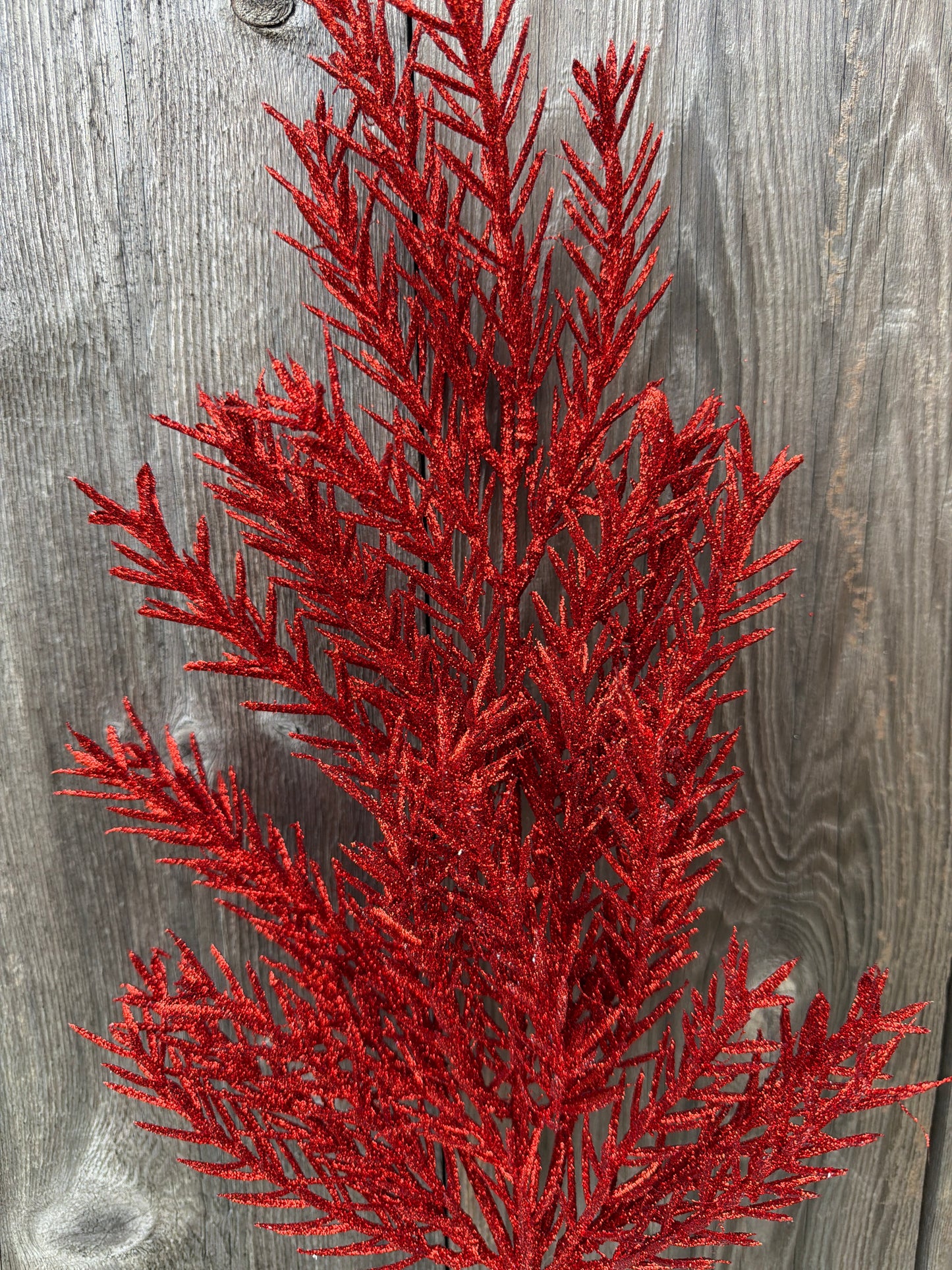 ROSEMARY SPRAY  RED      68673
