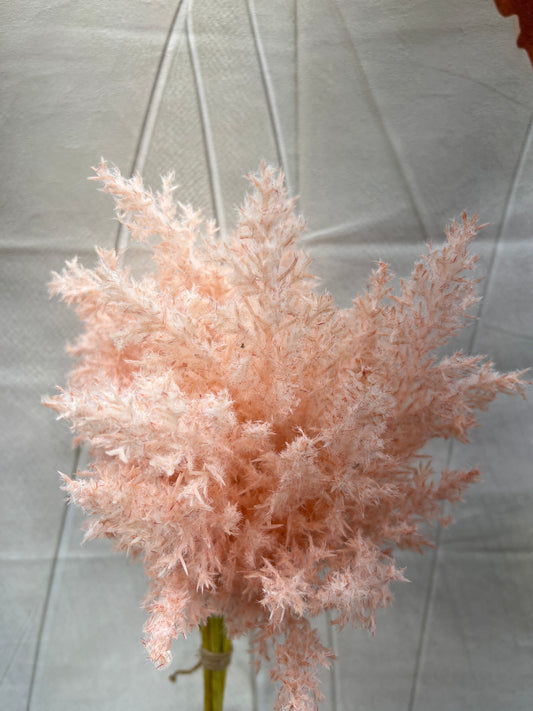 DRIED BUSH   02873 PINK