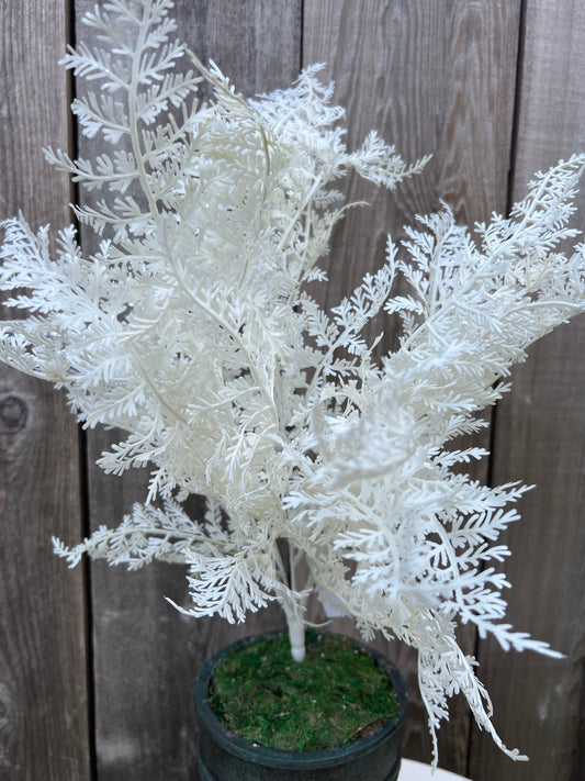FERN BUSH X 5 W GLITTER    85268-WT