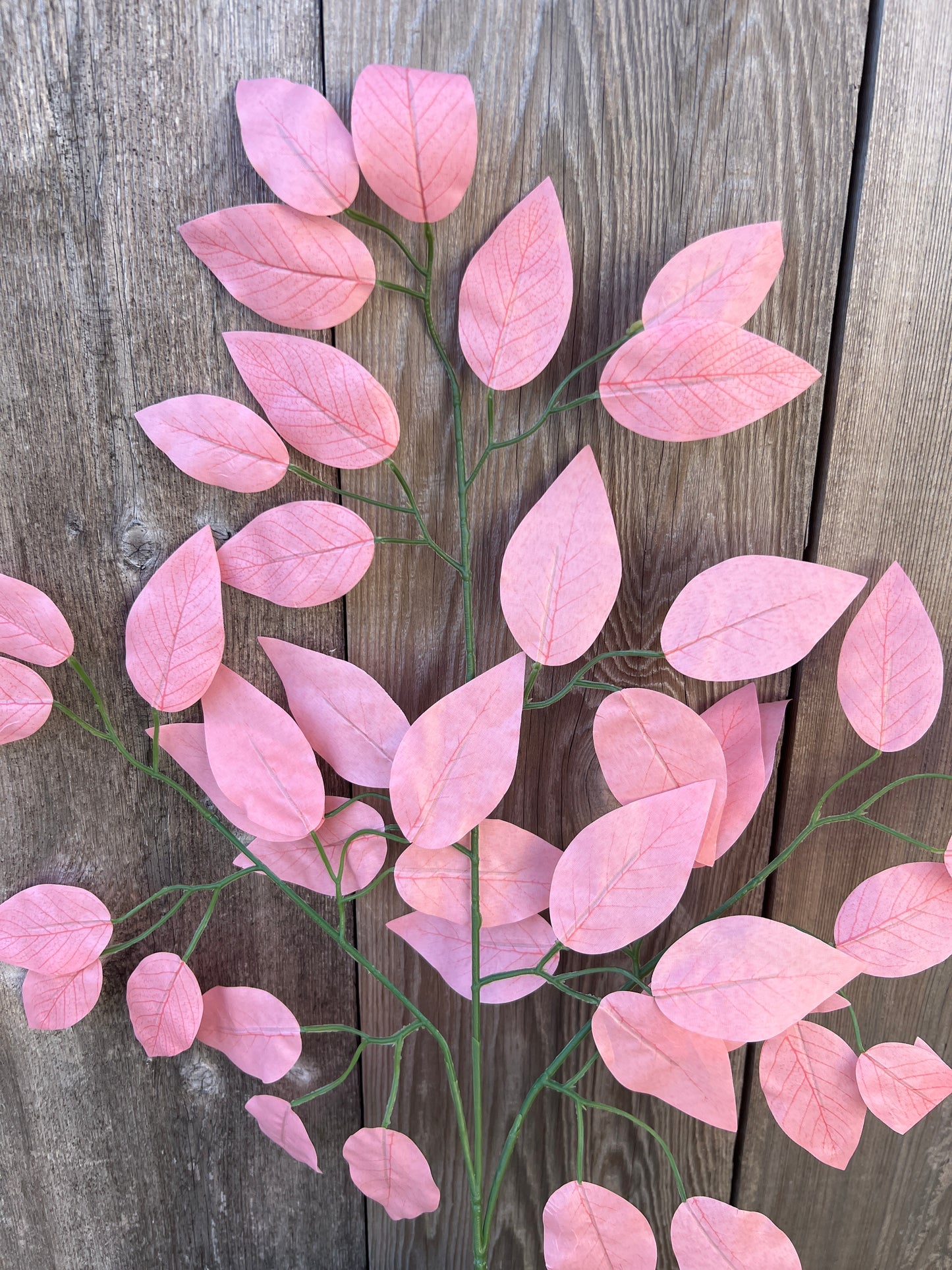 FICUS SPRAY PINK (BUNDLE6)   85352-PK