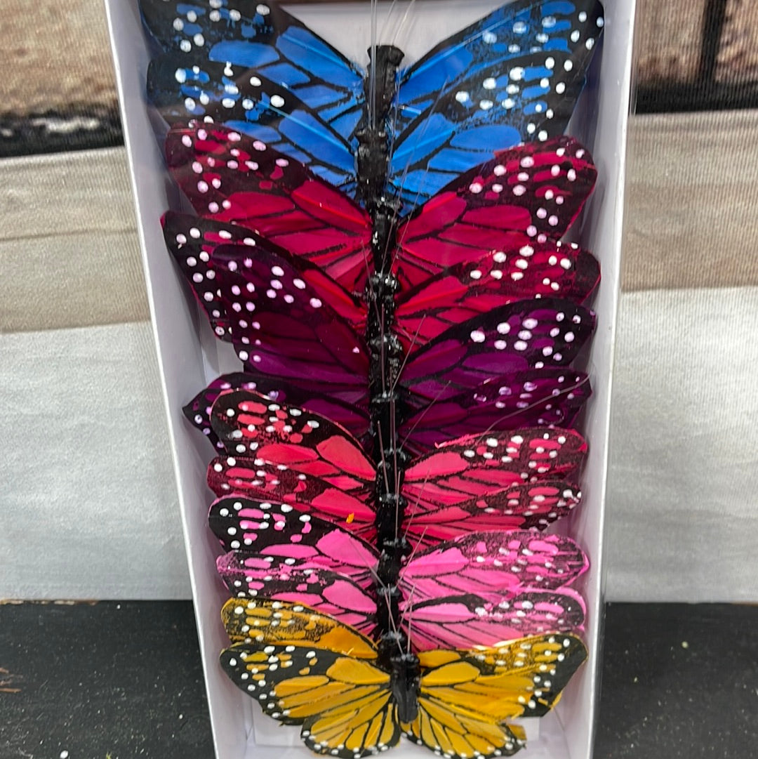 Jam Designs and Supplies