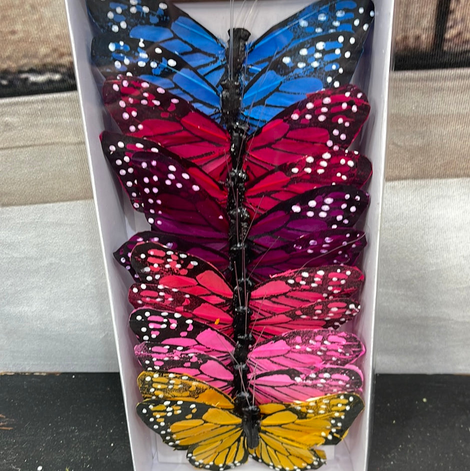 Jam Designs and Supplies