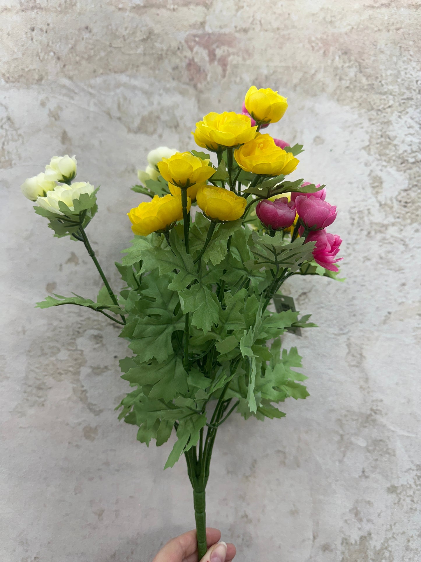 MINI RANUNCULUS BUSH     84055-CRYELFU