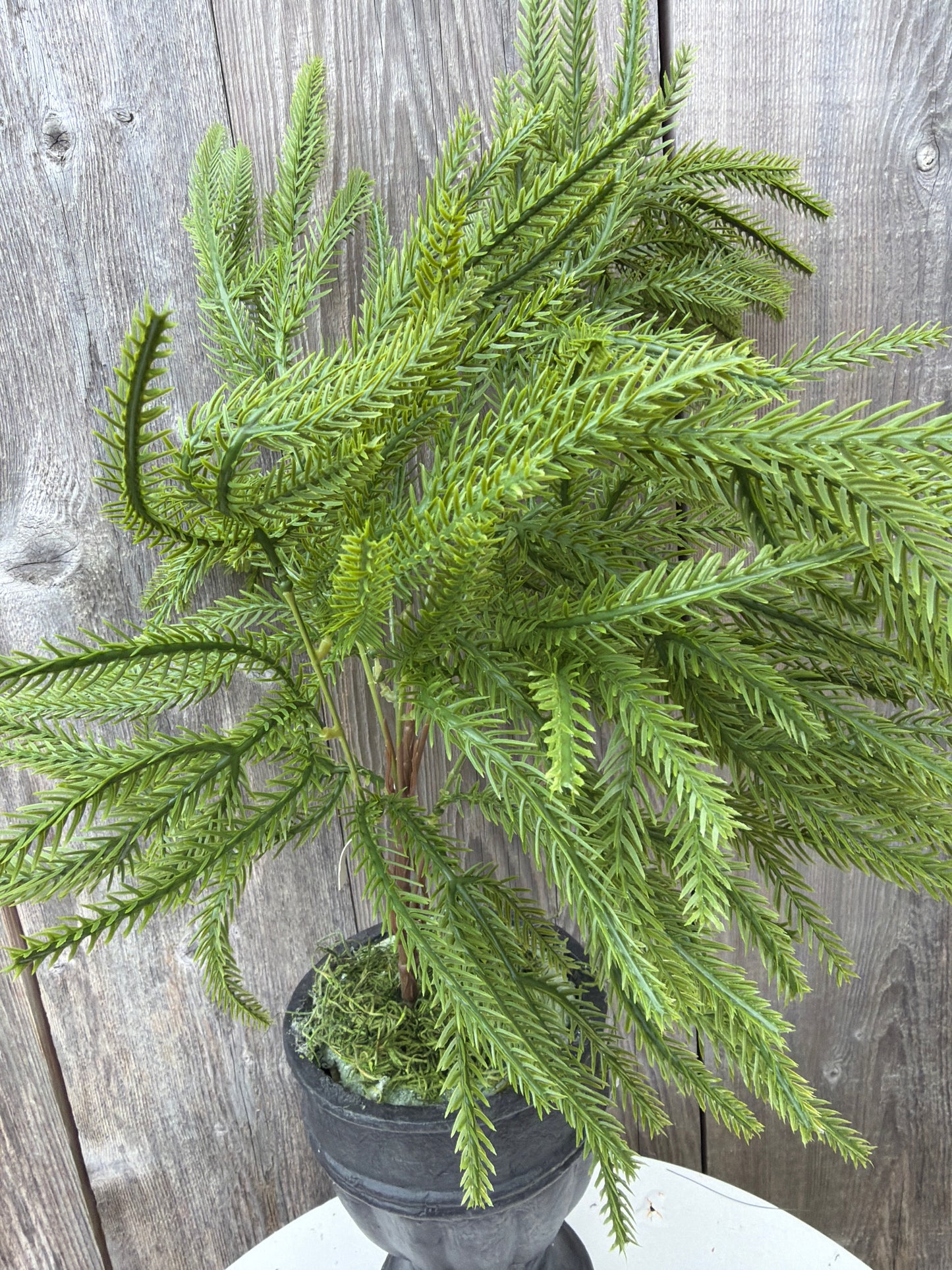 XMAS GRASS BUSH   37594
