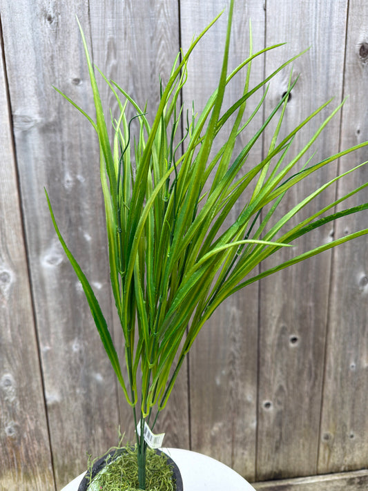 PLS LONG GRASS  59611