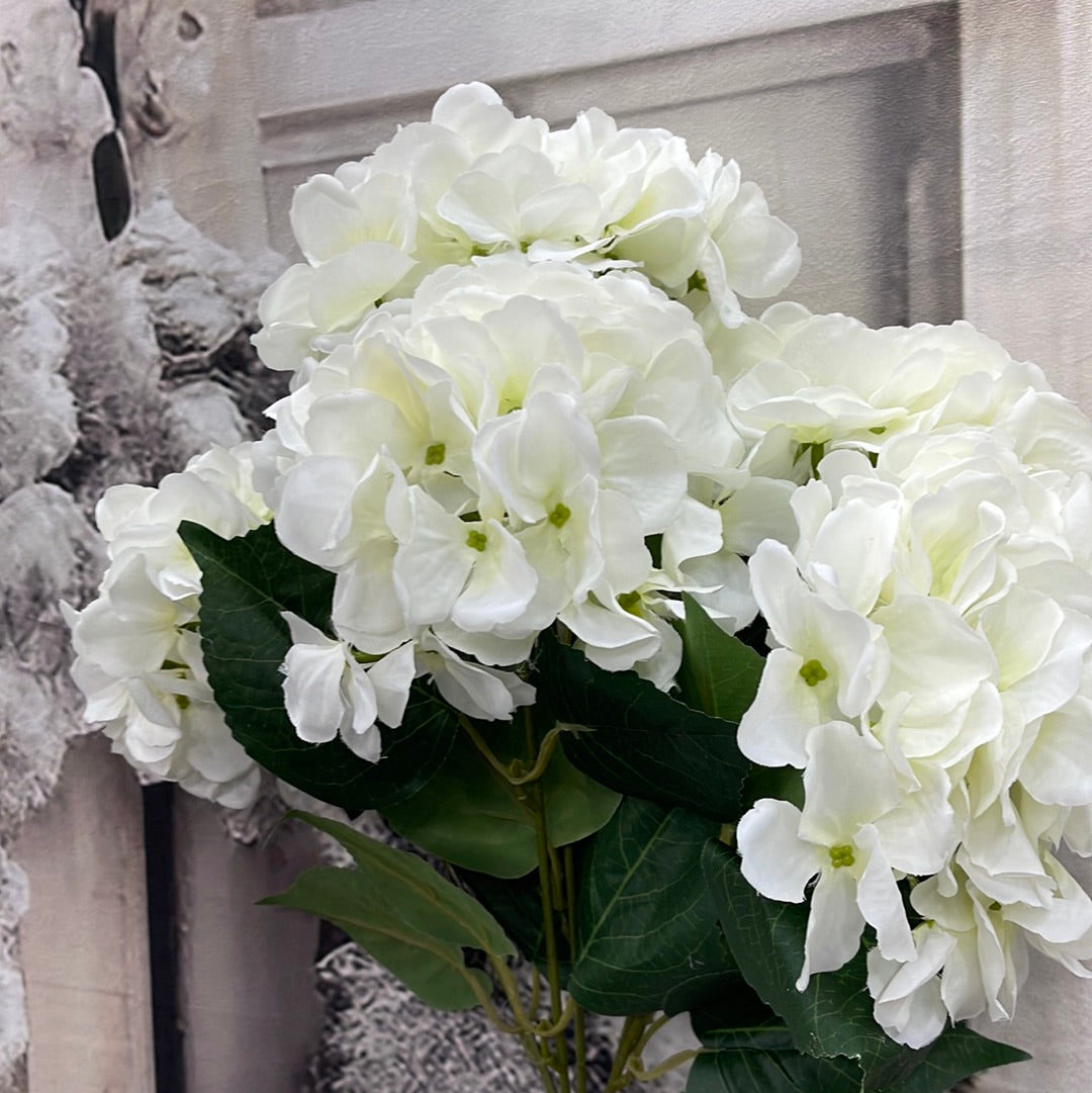 Hydrangea Bush Cream   3611-C