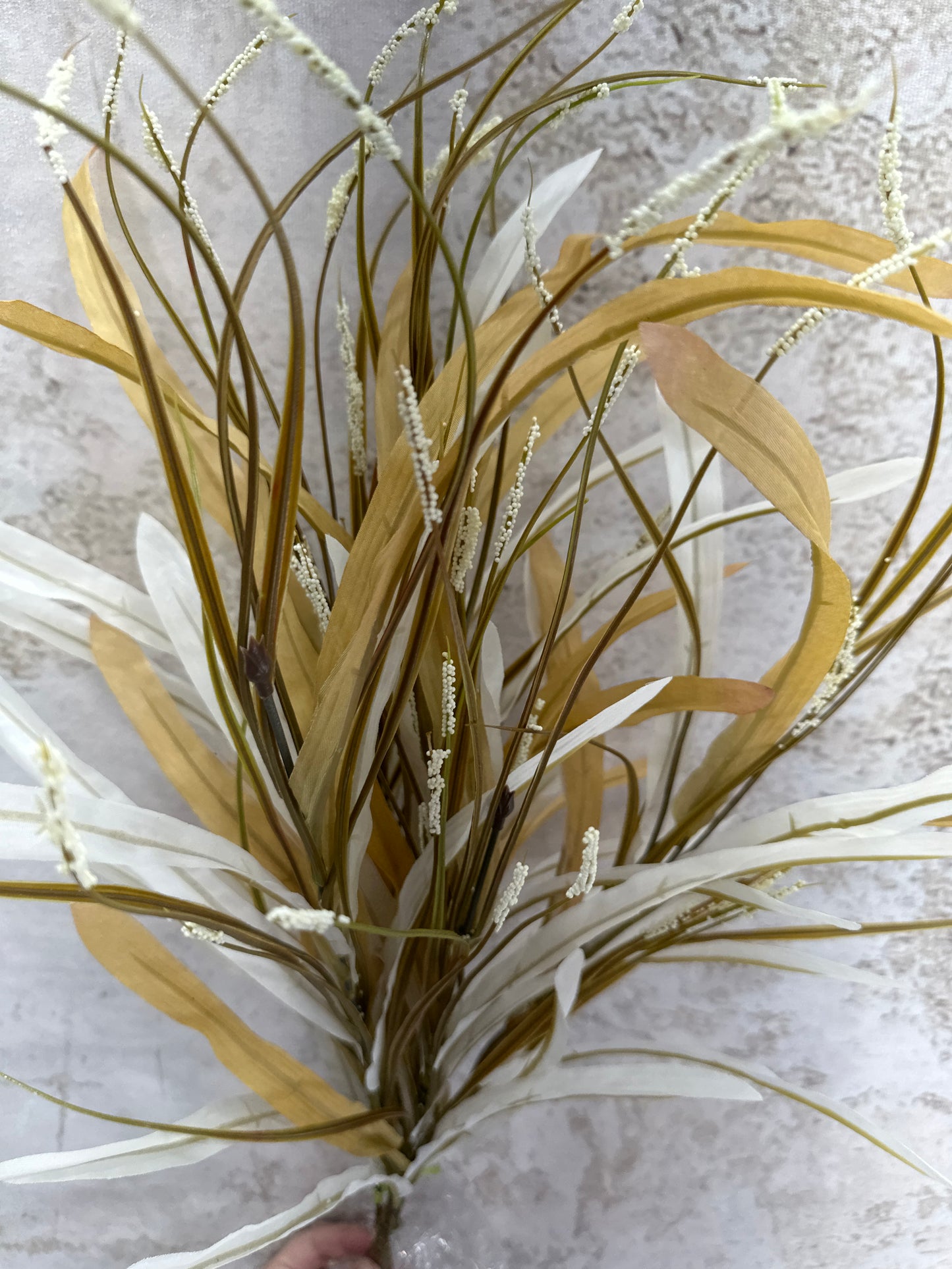 Silk Grass Bush   SB552293-028