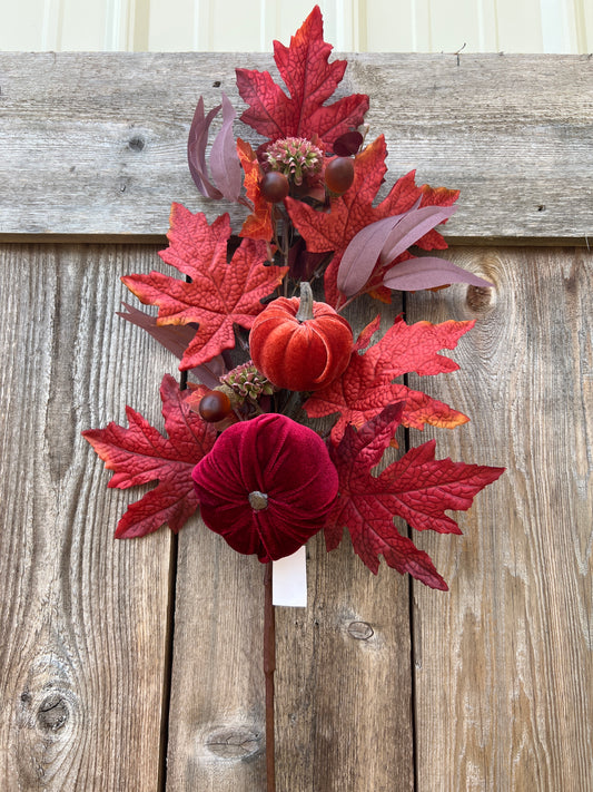 PUMPKIN MAPLE   85296