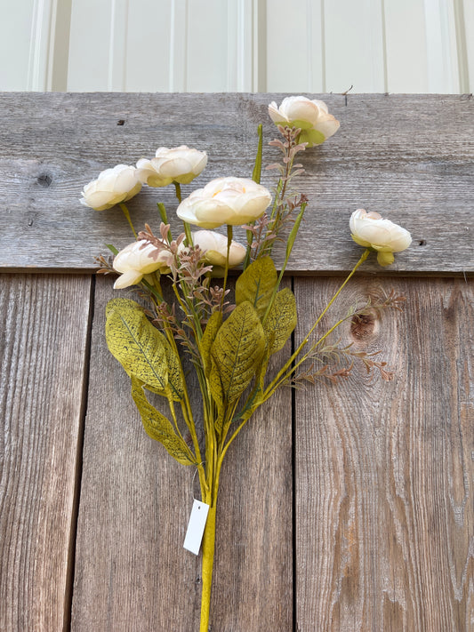 MIXED RANUNCULUS BUSH   40314-CR