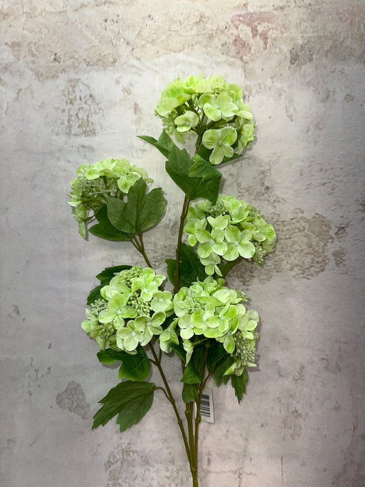 HYDRANGEA LG SPRAY GRN     79434