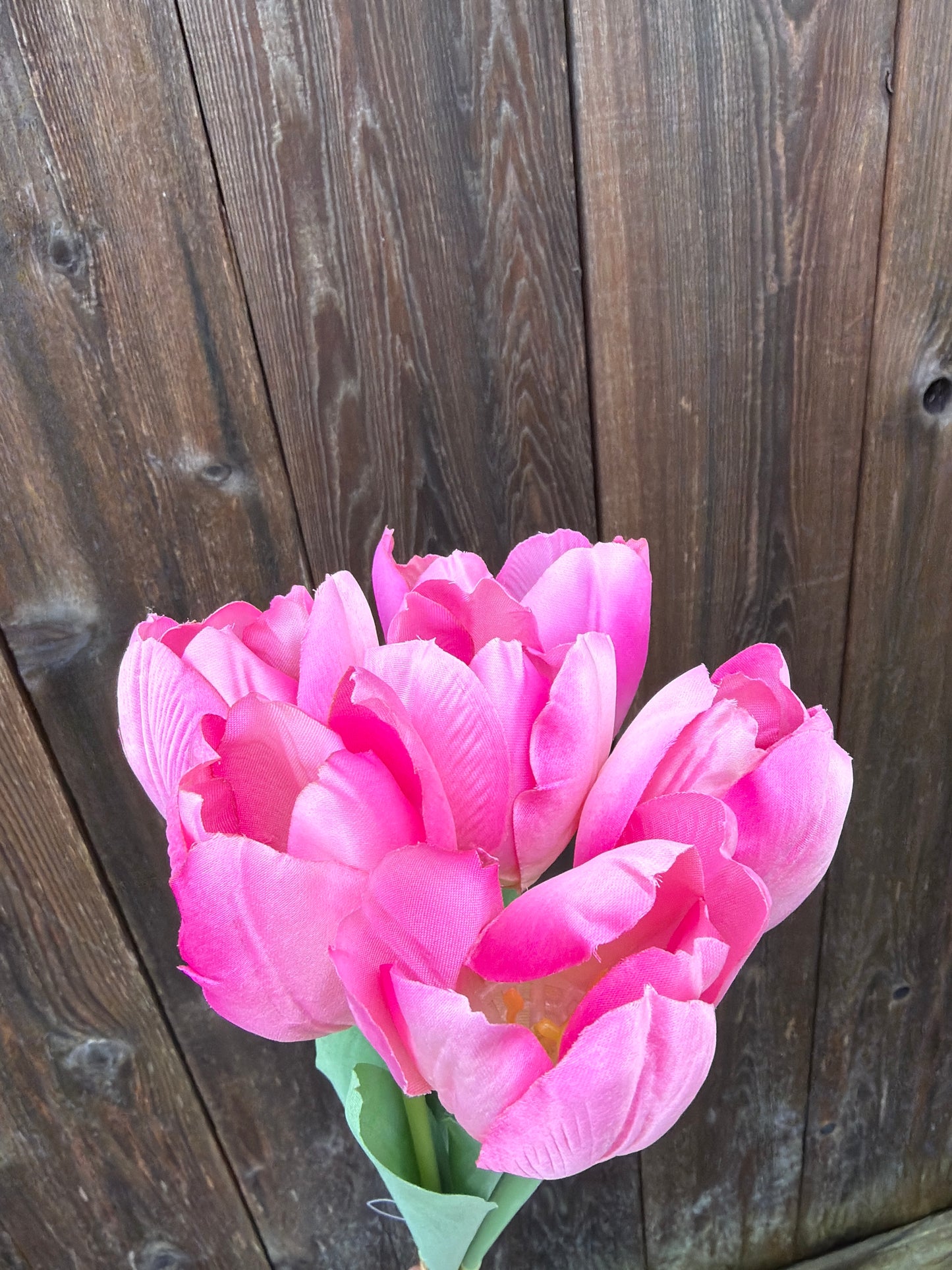 TULIP BUNDLE    85640-LT.PK