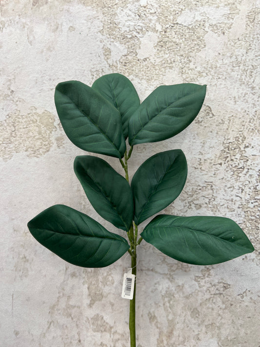 SPRAY MAGNOLIA LEAF   M1478