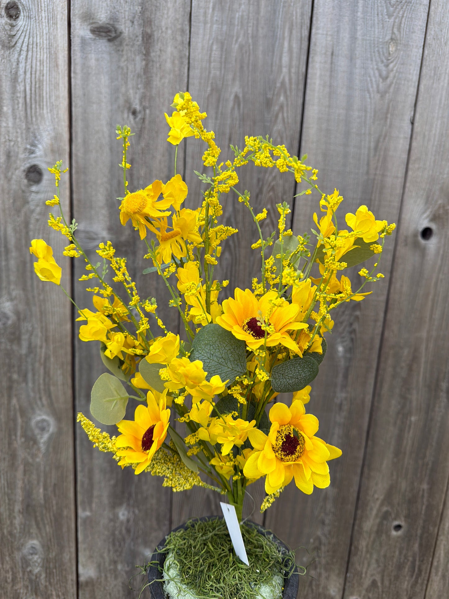 DAISY HEATHER BUSH   65627