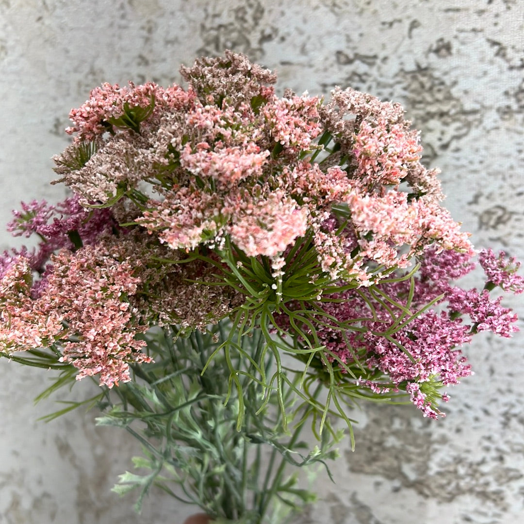 Queen Anne's Lace Bundle  6198P