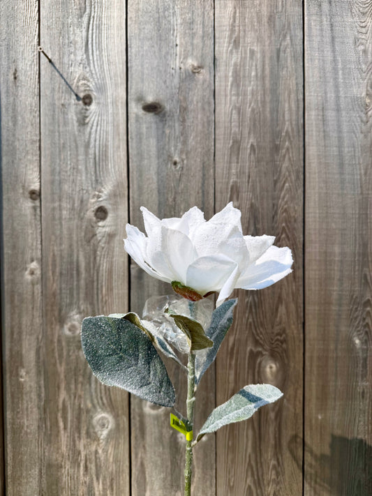 Snowy Magnolia Stem   83335WT