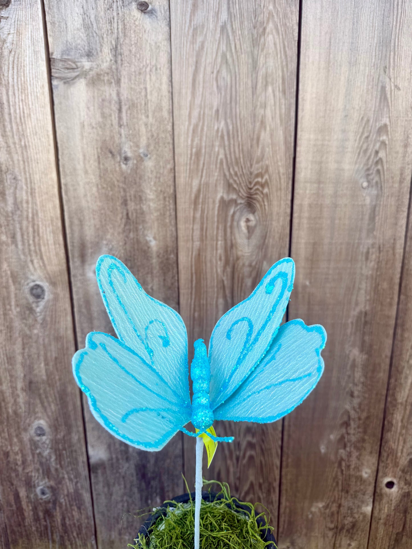 Butterfly Pick   63966BL