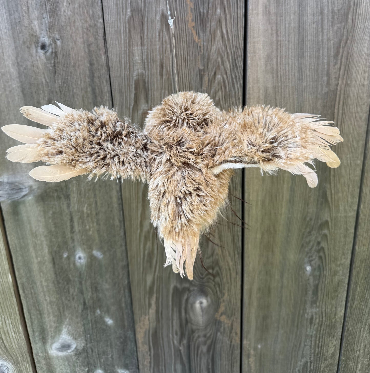 12.5" WINTER CHALET FLYING FEATHER OWL   MTX74126