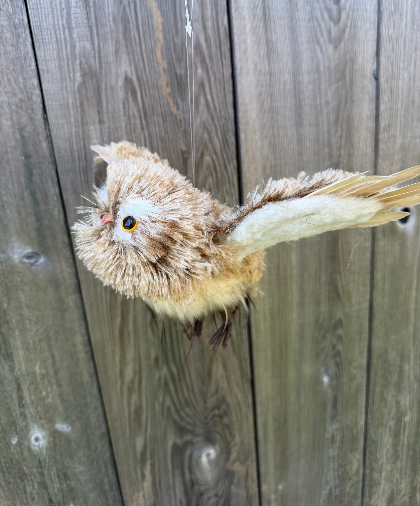 12.5" WINTER CHALET FLYING FEATHER OWL   MTX74126