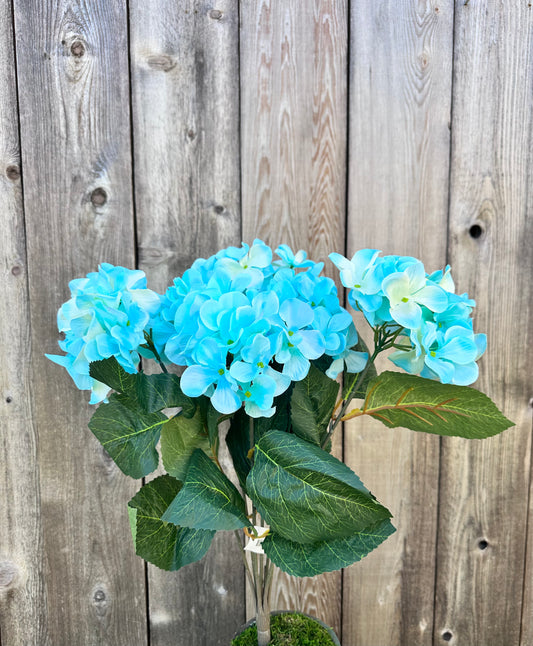 HYDRANGEA BUSH   80312-TQ