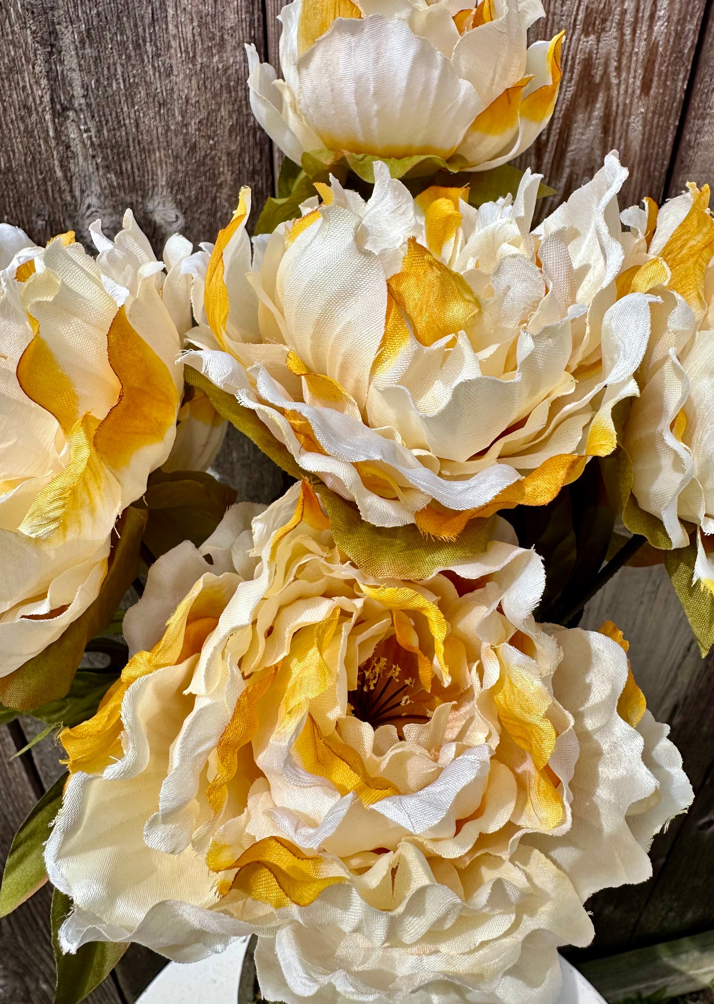 Peony Bush 53843-Beige