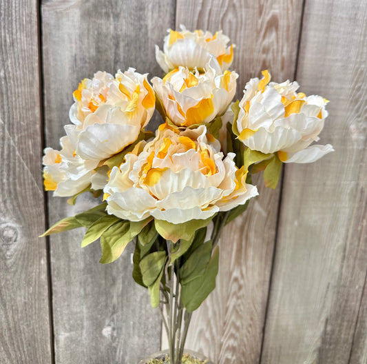 Peony Bush 53843-Beige