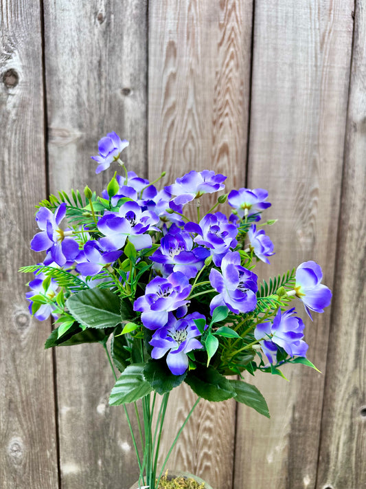 APPLE BLOSSOM BUSH  PURPLE  55166