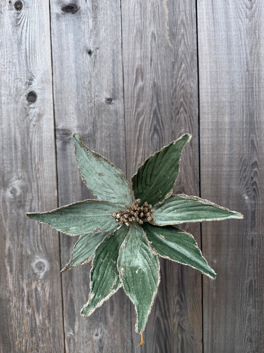 Velvet Poinsettia Stem Sage   86773SAGE