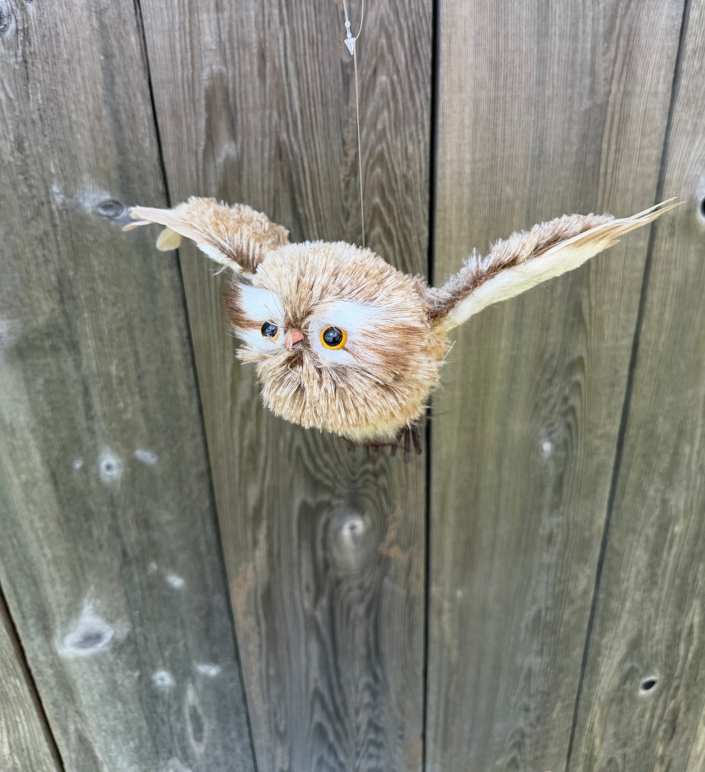 12.5" WINTER CHALET FLYING FEATHER OWL   MTX74126