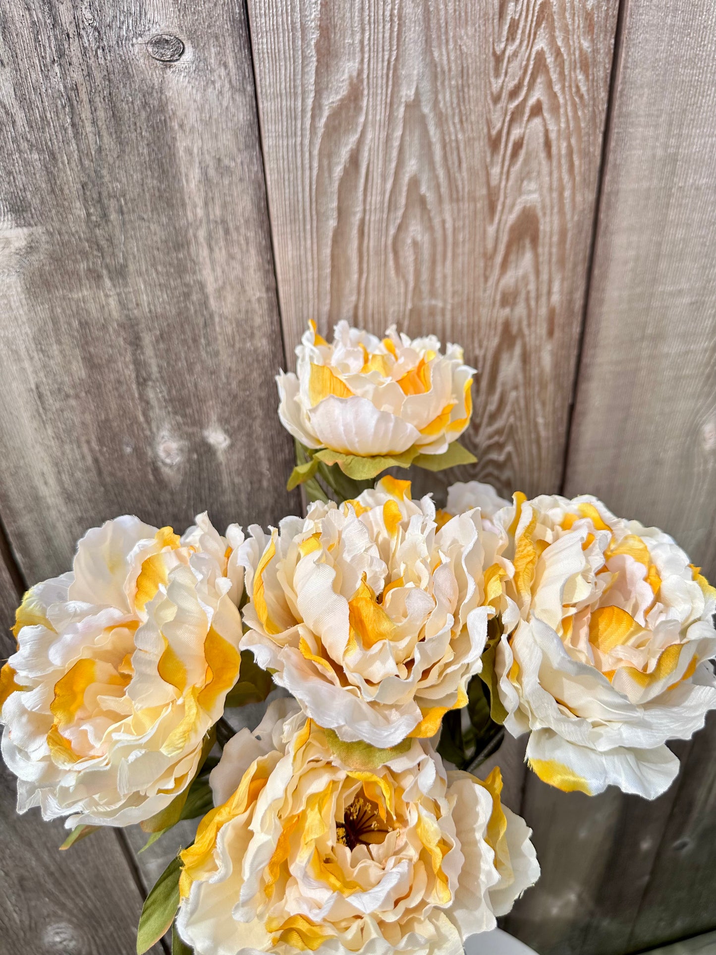 Peony Bush 53843-Beige