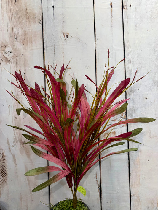 Silk Grass Bush   SB552293-057
